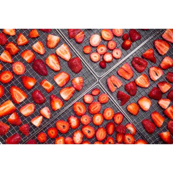 Organic Dried Strawberries